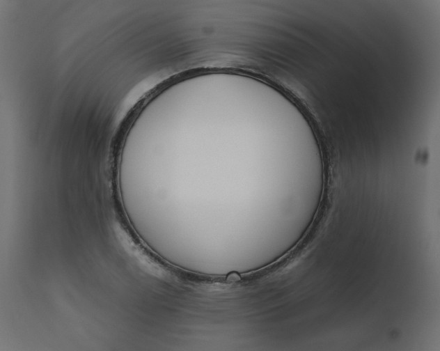 X0000110731122200906261512