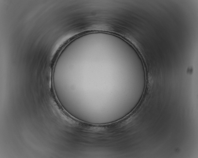 X0000110731123200906261512