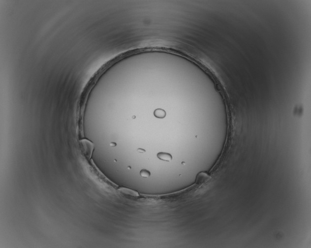 X0000110731124200906261512