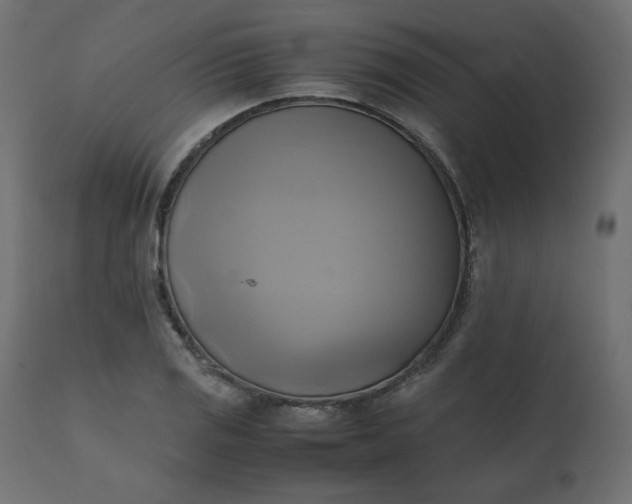 X0000110731125200906261512