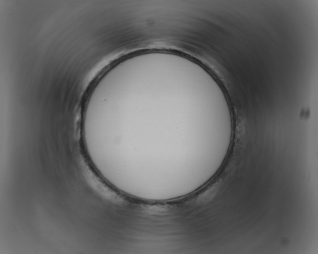 X0000110731126200906261512