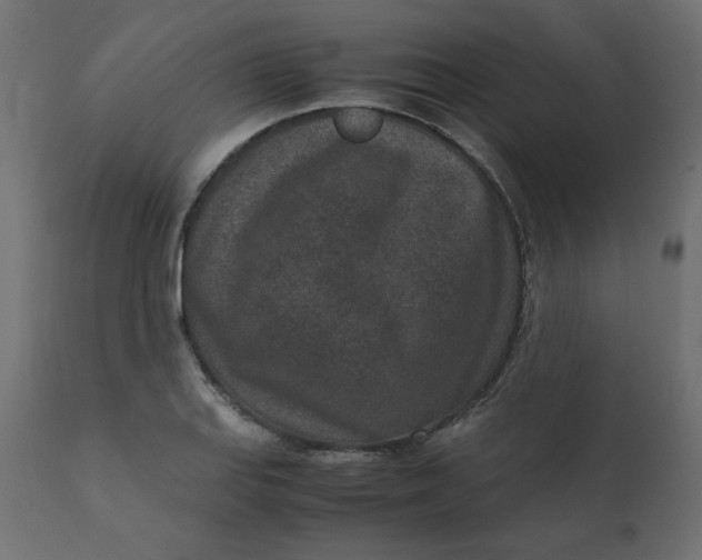 X0000110731127200906261512