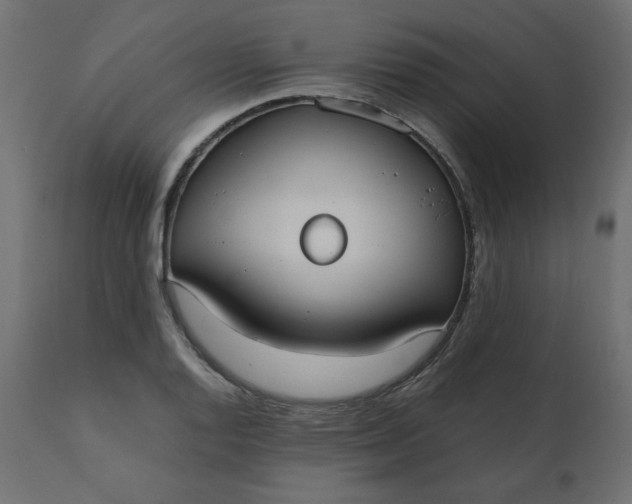 X0000110731128200906261512