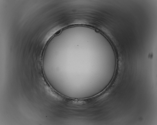 X0000110731129200906261512