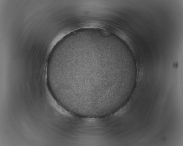 X0000110731130200906261513