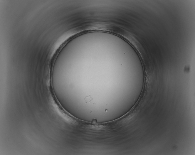 X0000110731131200906261513