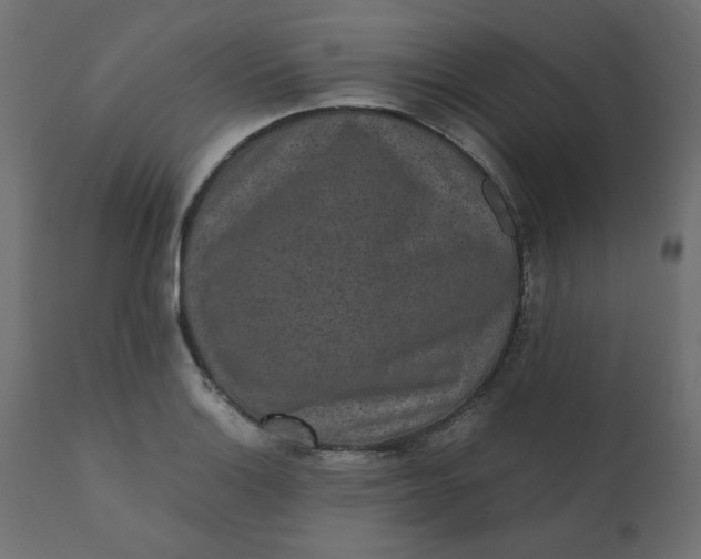 X0000110731132200906261513