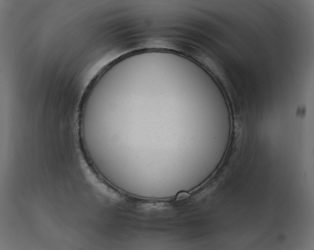 X0000110731133200906261513