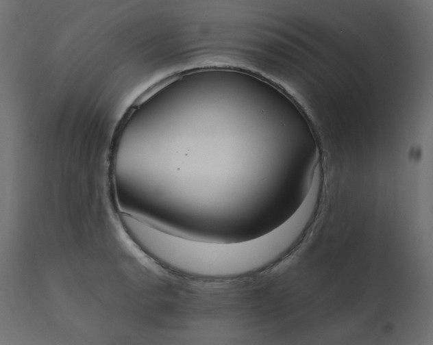 X0000110731134200906261513