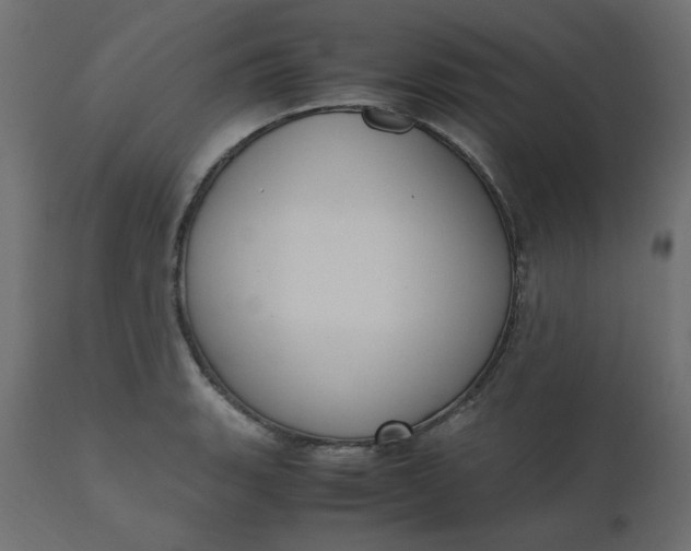 X0000110731135200906261513