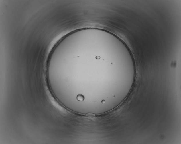 X0000110731136200906261513