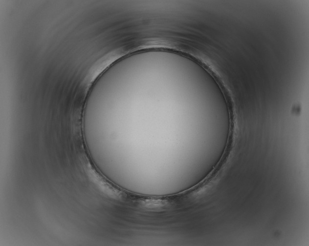 X0000110731137200906261513