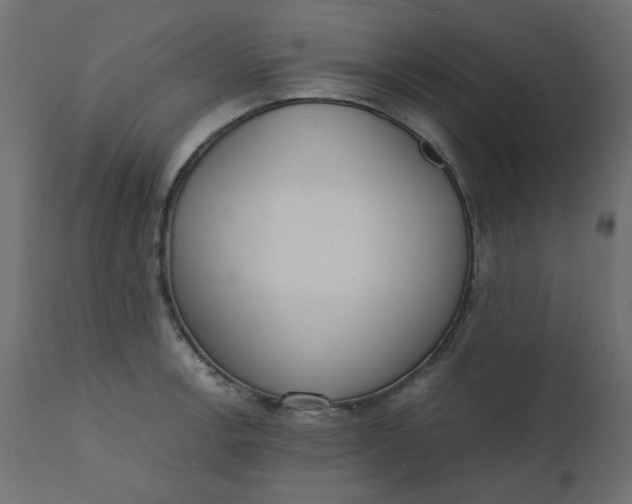 X0000110731138200906261513