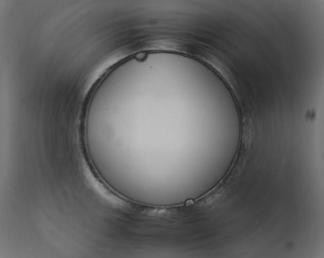 X0000110731139200906261513