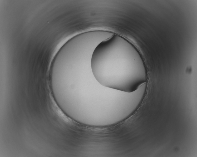 X0000110731140200906261513