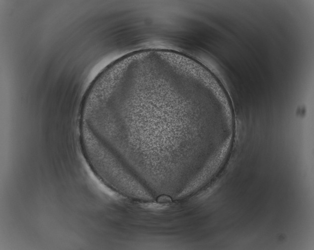 X0000110731141200906261513