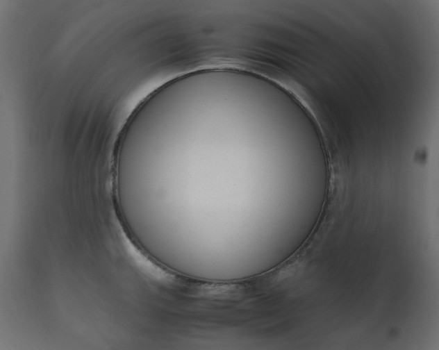 X0000110731143200906261513