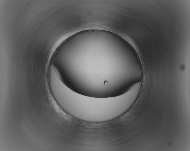 X0000110731144200906261513