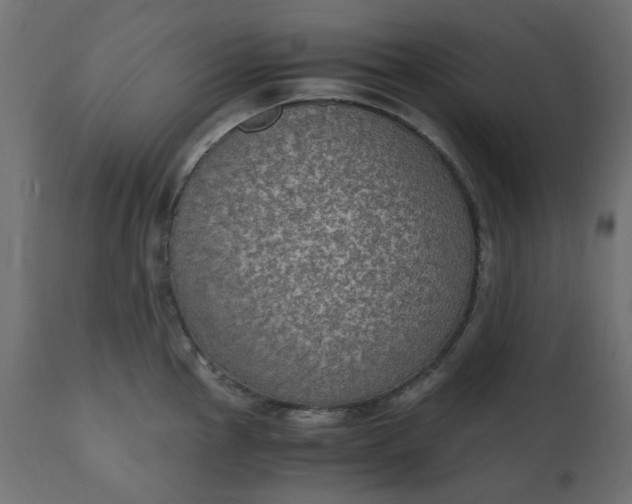 X0000110731145200906261513