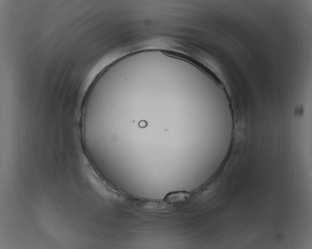 X0000110731146200906261513