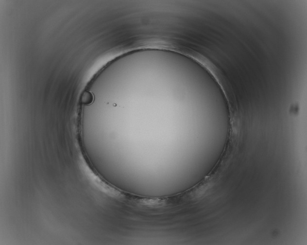 X0000110731147200906261513