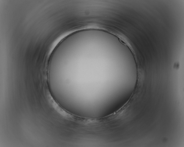 X0000110731148200906261513