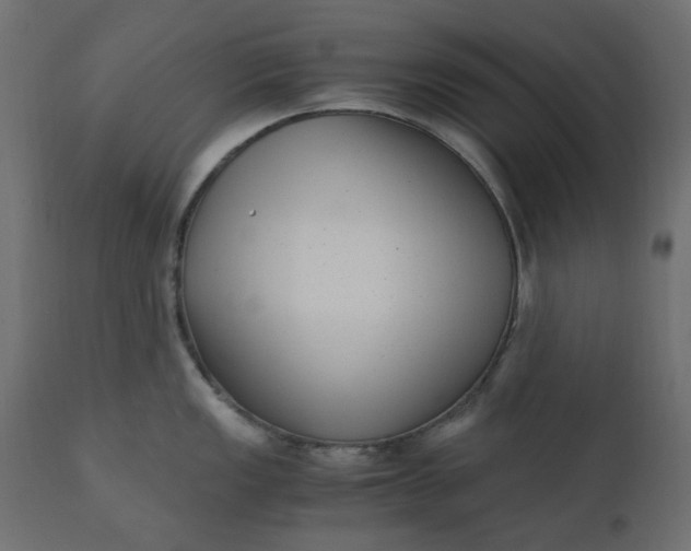 X0000110731149200906261513