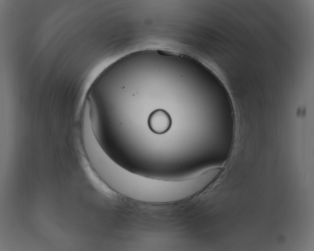 X0000110731152200906261513