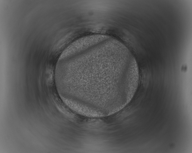 X0000110731154200906261512