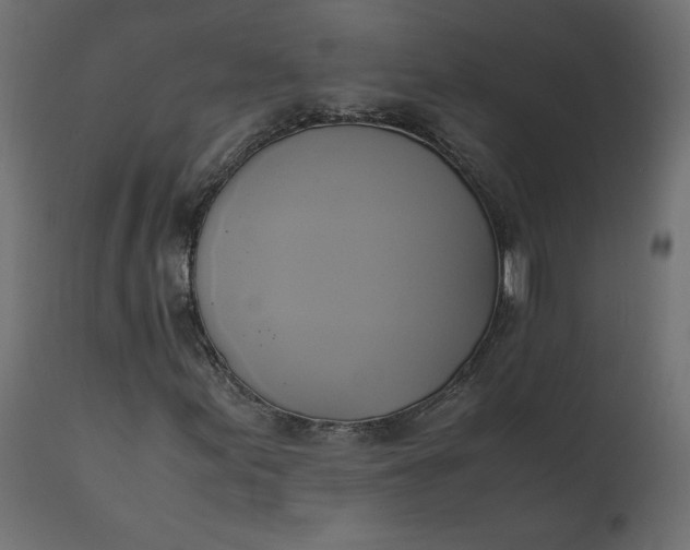 X0000110731155200906261512