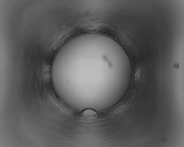 X0000110731156200906261512