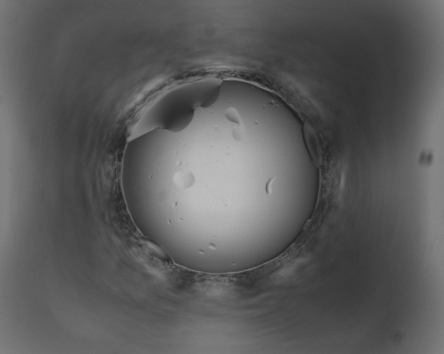 X0000110731157200906261512