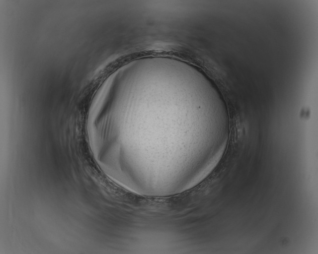 X0000110731158200906261512