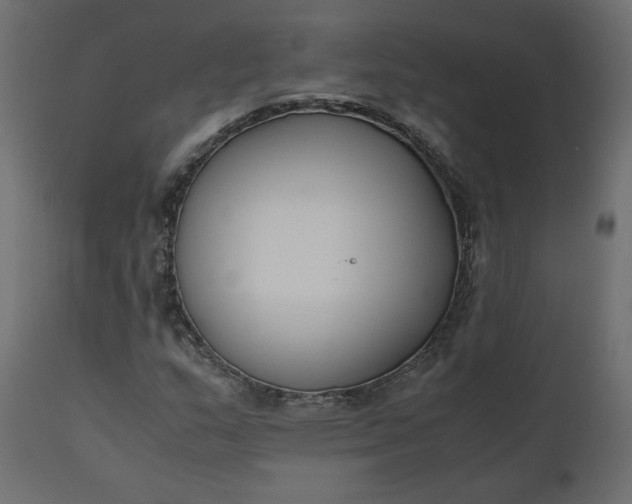 X0000110731159200906261512