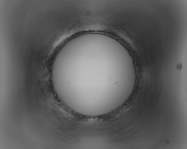 X0000110731160200906261512