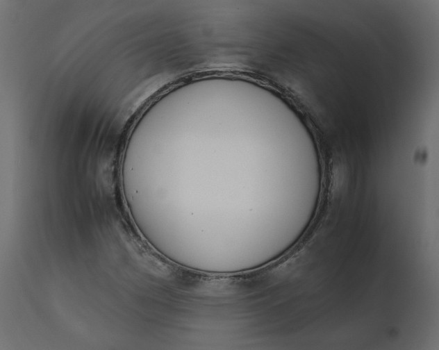 X0000110731162200906261512