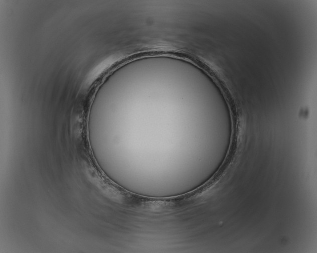 X0000110731163200906261512