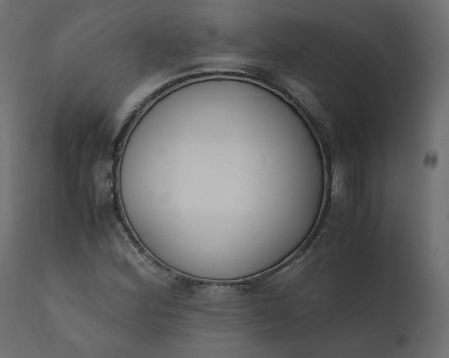 X0000110731164200906261512