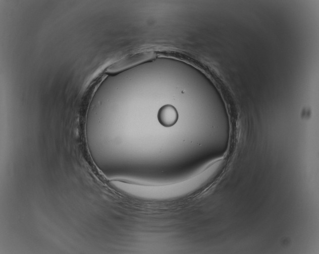 X0000110731165200906261512