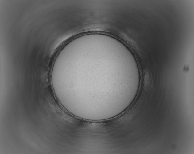 X0000110731166200906261512