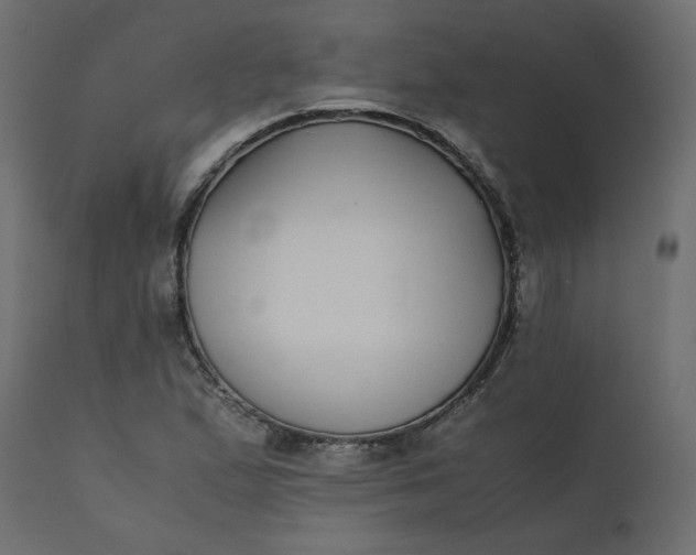 X0000110731167200906261512