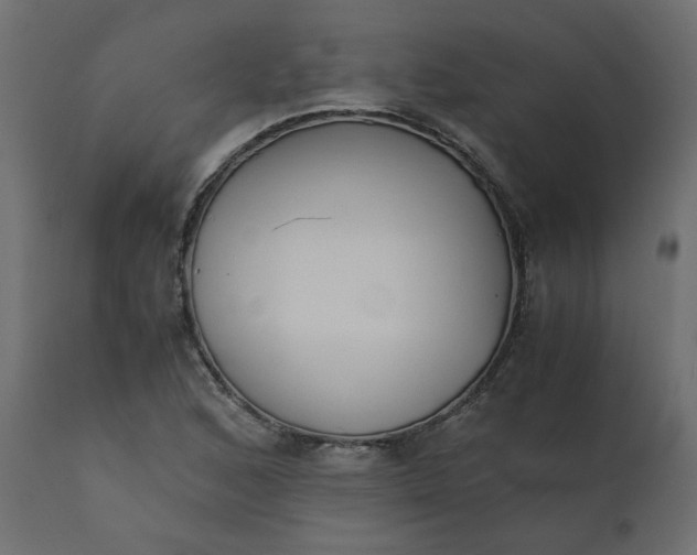 X0000110731168200906261512