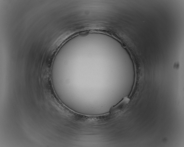 X0000110731169200906261512