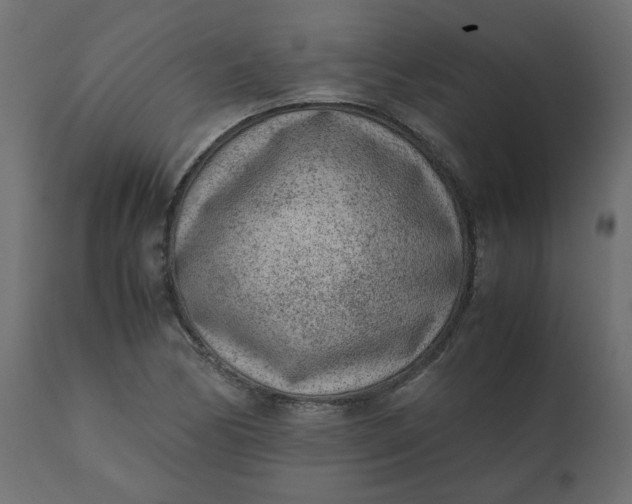 X0000110731170200906261512