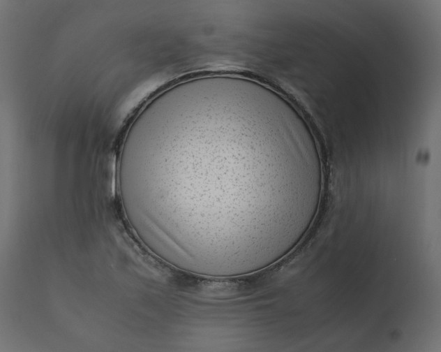 X0000110731171200906261512