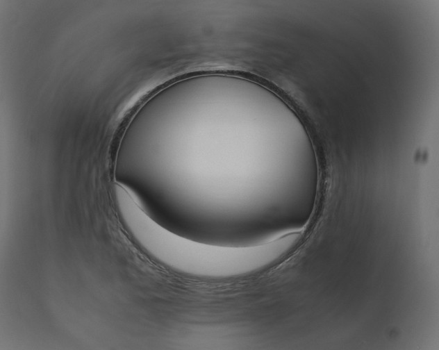 X0000110731173200906261512