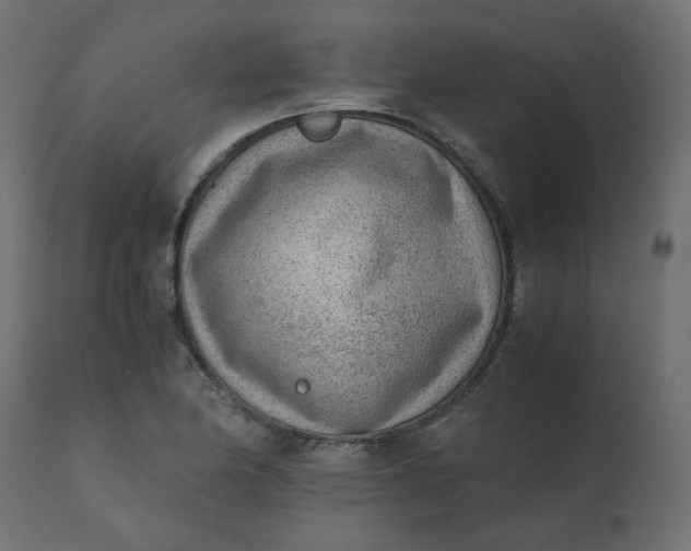 X0000110731174200906261512