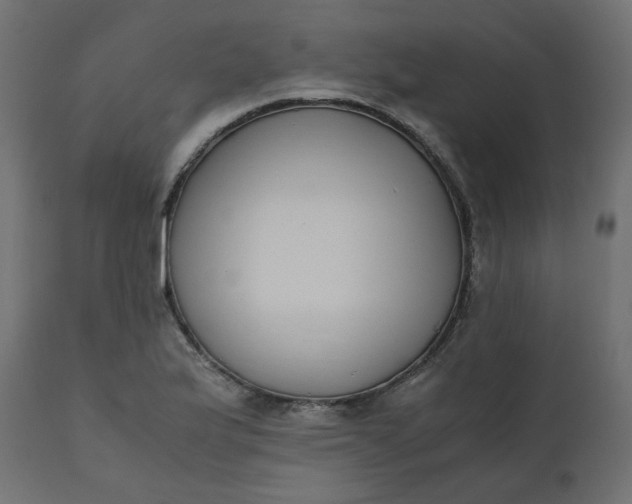 X0000110731175200906261512