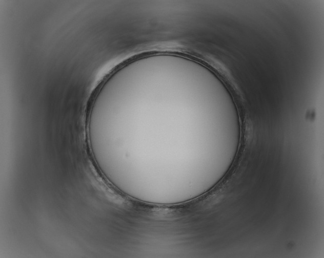 X0000110731176200906261512