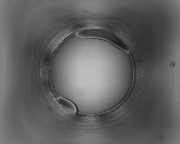 X0000110731177200906261512